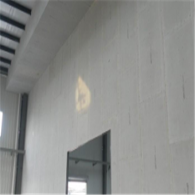 红花岗宁波ALC板|EPS加气板隔墙与混凝土整浇联接的实验研讨